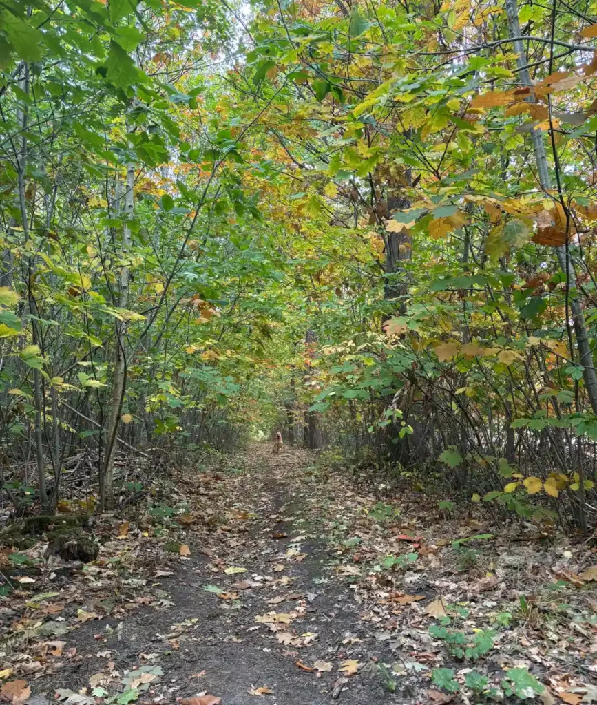 Jezelf aanpassen is vaak een beschermingsmechanisme.
