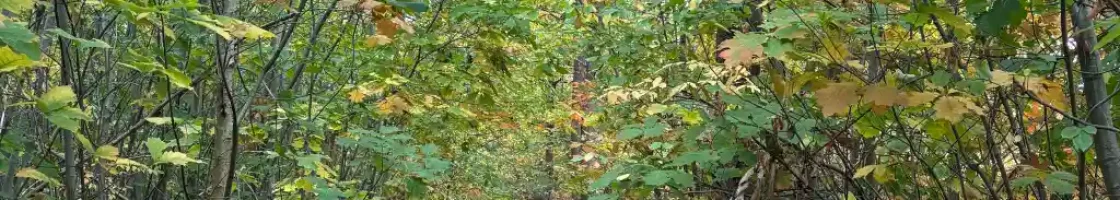 Jezelf aanpassen is vaak een beschermingsmechanisme.